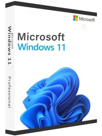 Windows 11 Professional