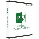 Project 2016 Professional