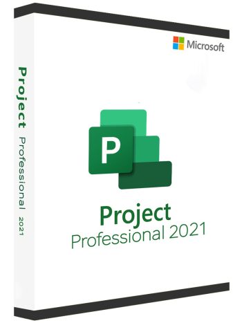 Project 2021 Professional